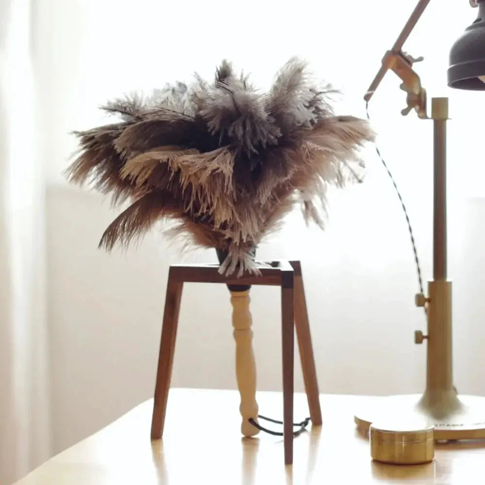 Feather duster with wooden handle and ostrich feathers for home cleaning