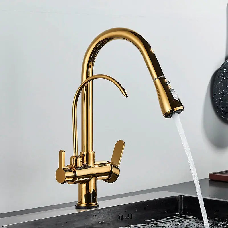 Gold-tone pull-out kitchen faucet with dual handles, deck-mounted.