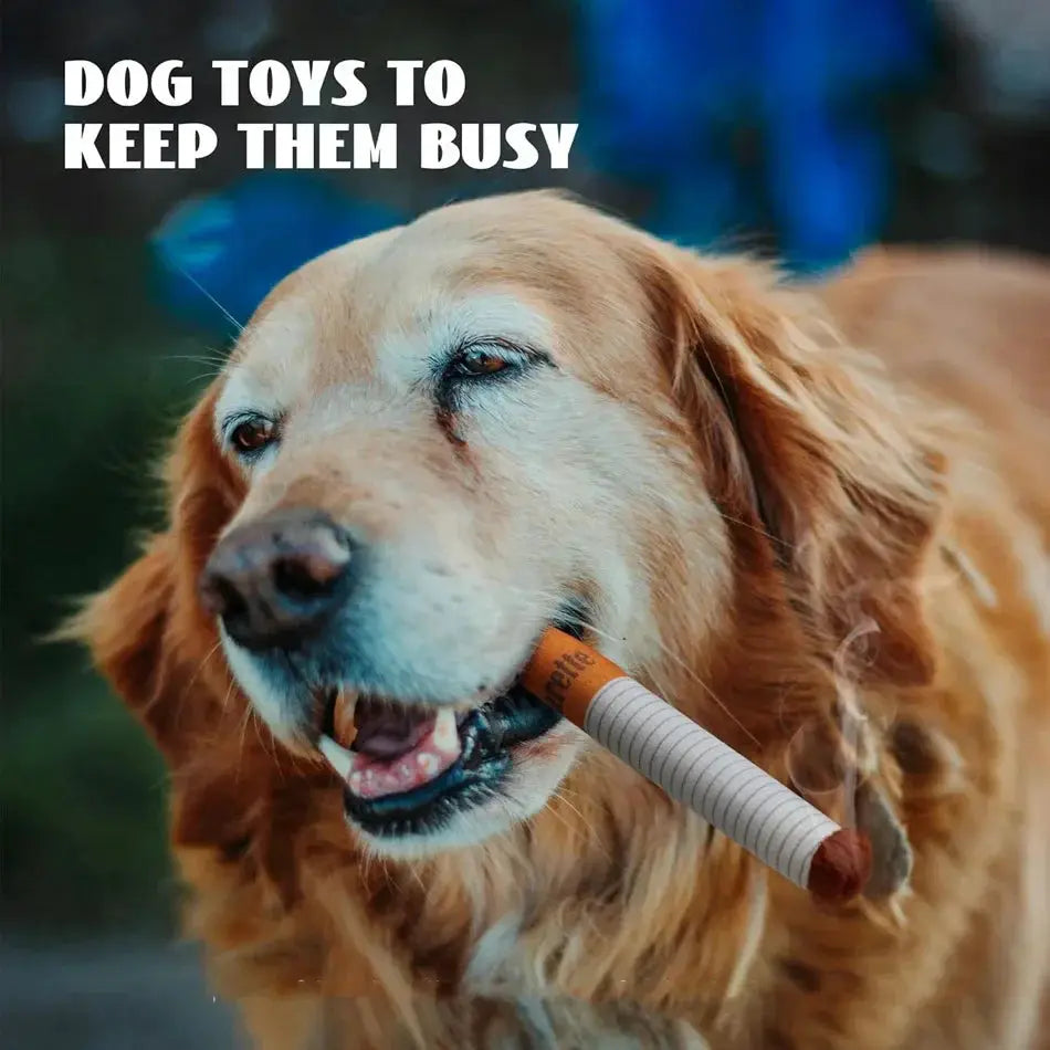 Interactive plush dog toy with cigarette-design look for dogs