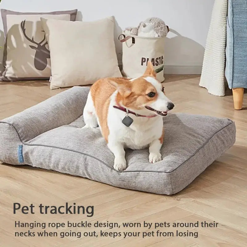 Smart Bluetooth GPS pet tracker on a dog's collar, black square device compatible with Apple Find My