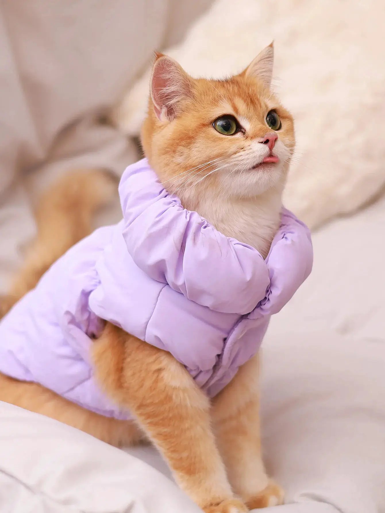 Dog Jacket For Autumn And Winter Three Layer Thick Warm Outerwear For Small To Medium Dogs