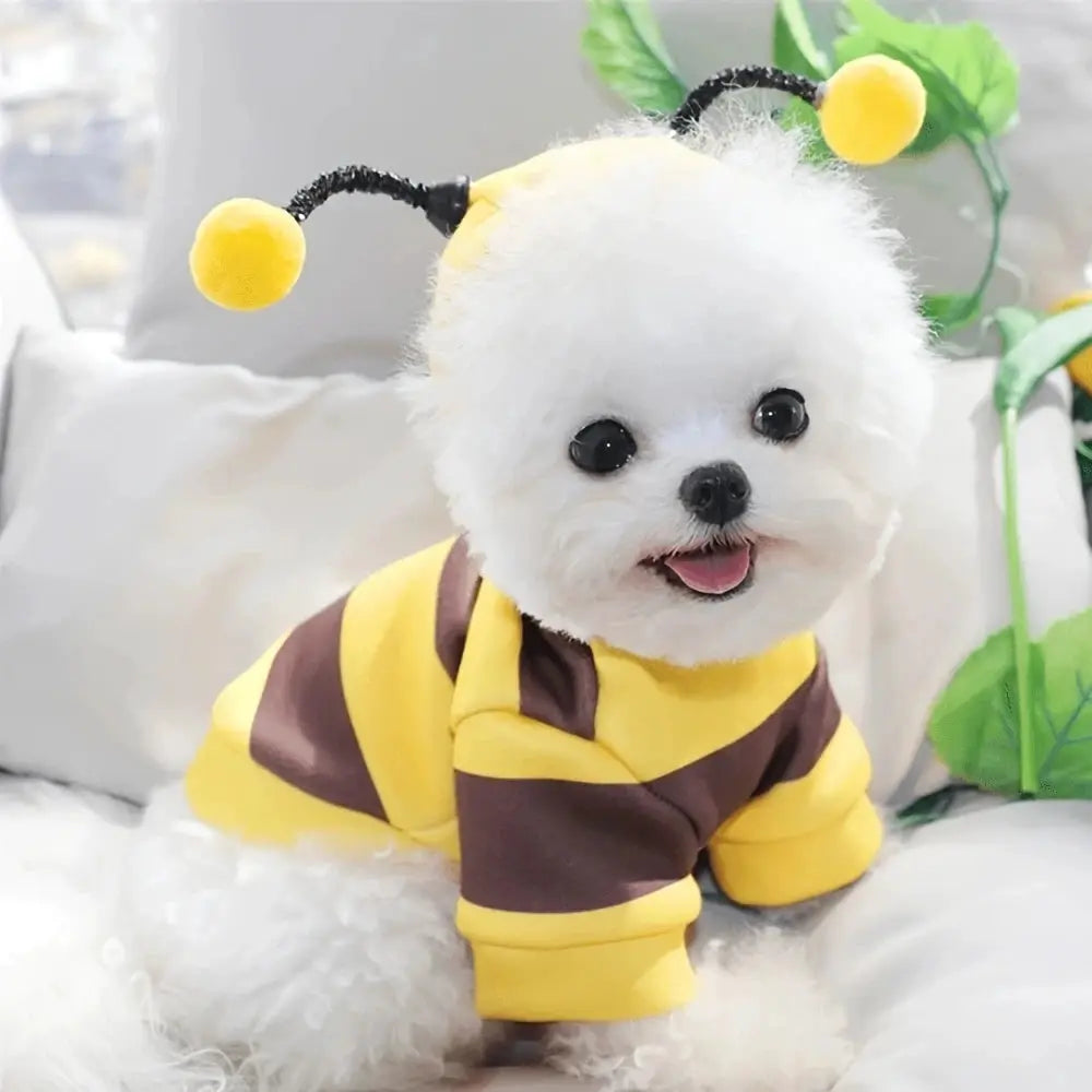 Bee Pet Puppy Coat And Cat Cosplay Outfit For Small To Medium Dogs And Cats Halloween Holiday Hoodie Costume