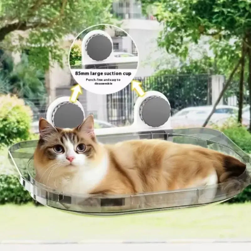 Hanging cat bed, clear acrylic window hammock with suction cups, supports up to 20 kg