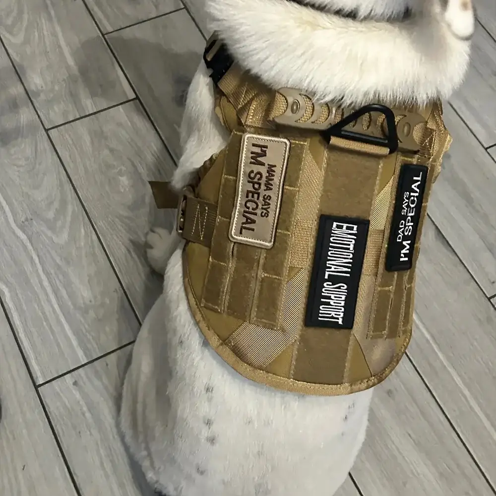 One Piece Embroidered Service Dog Patch For Vests And Harnesses Removable Patch For Dogs And Cats