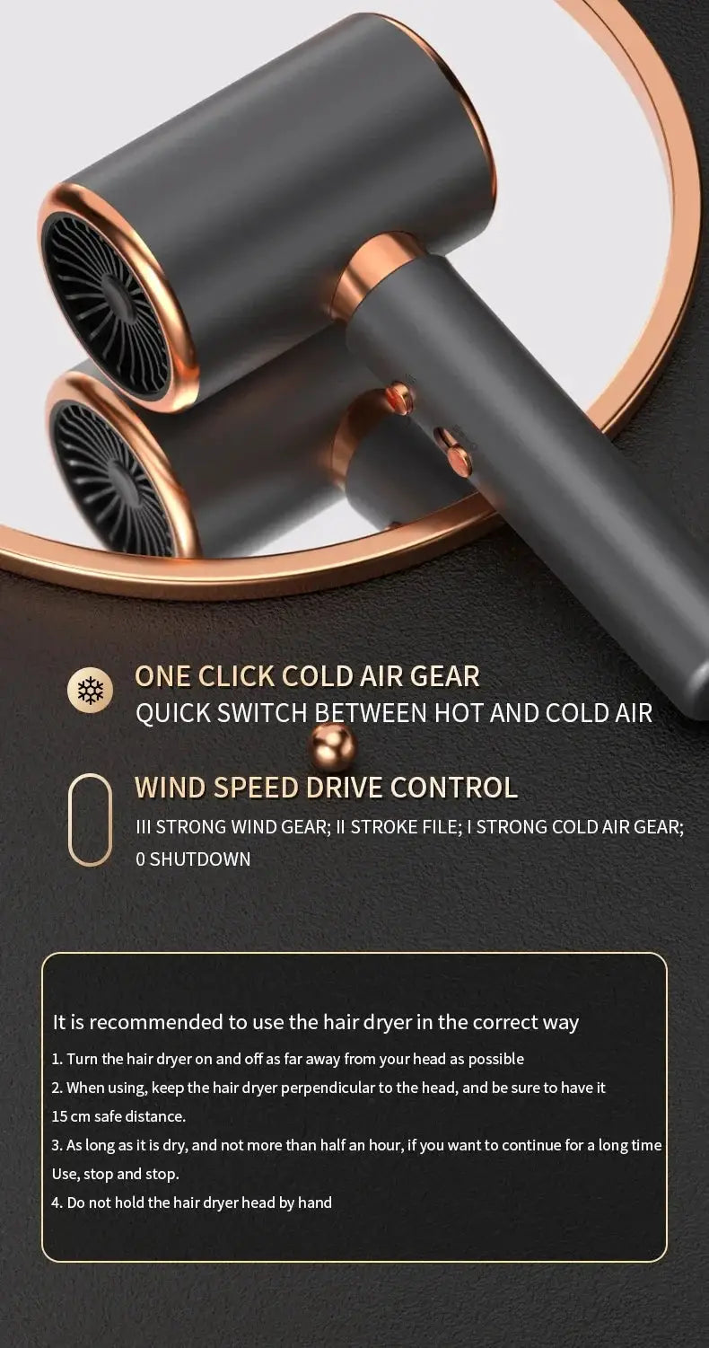 HOMEFISH 2000W salon hair dryer in dark gray with copper accents