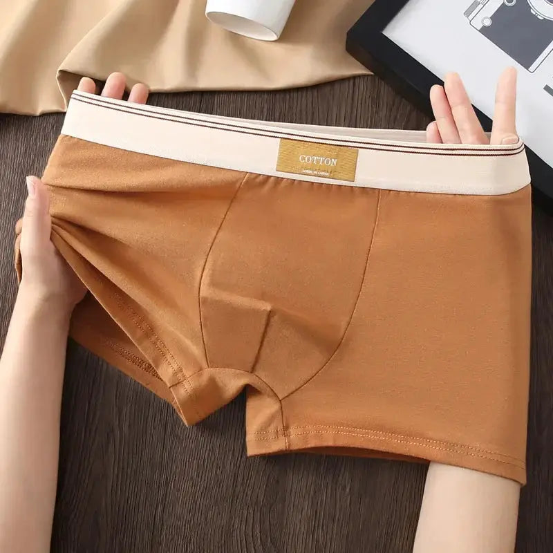 Men's cotton boxer shorts in tan with striped white waistband, breathable underwear