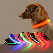 Nylon LED Night Safety Dog Leash And Collar With Flashing Glow In The Dark Luminous Fluorescent