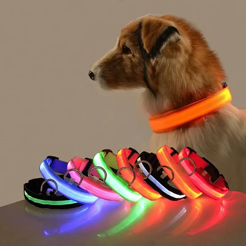 Nylon LED Night Safety Dog Leash And Collar With Flashing Glow In The Dark Luminous Fluorescent