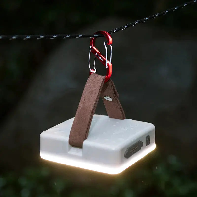 Naturehike aluminum S-shaped mountaineering buckle keychain with brown straps and red carabiner on a white block
