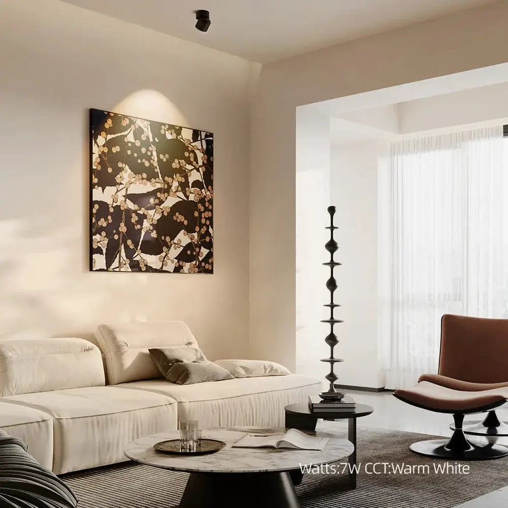 Aisilan LED ceiling spotlight, black metal, 360° rotation, surface-mounted lamp in a modern living room
