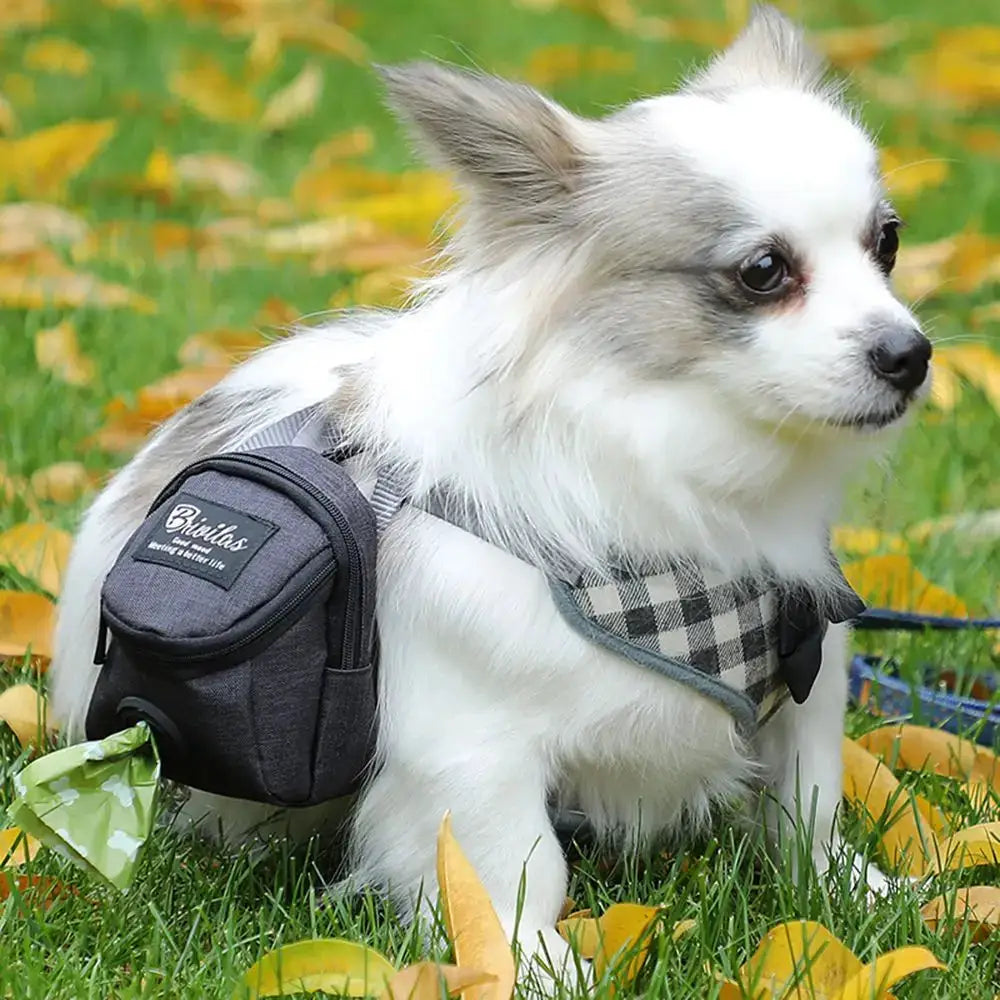 Dog treat pouch by Simples Market, portable training bag with poop bag dispenser, black compact.