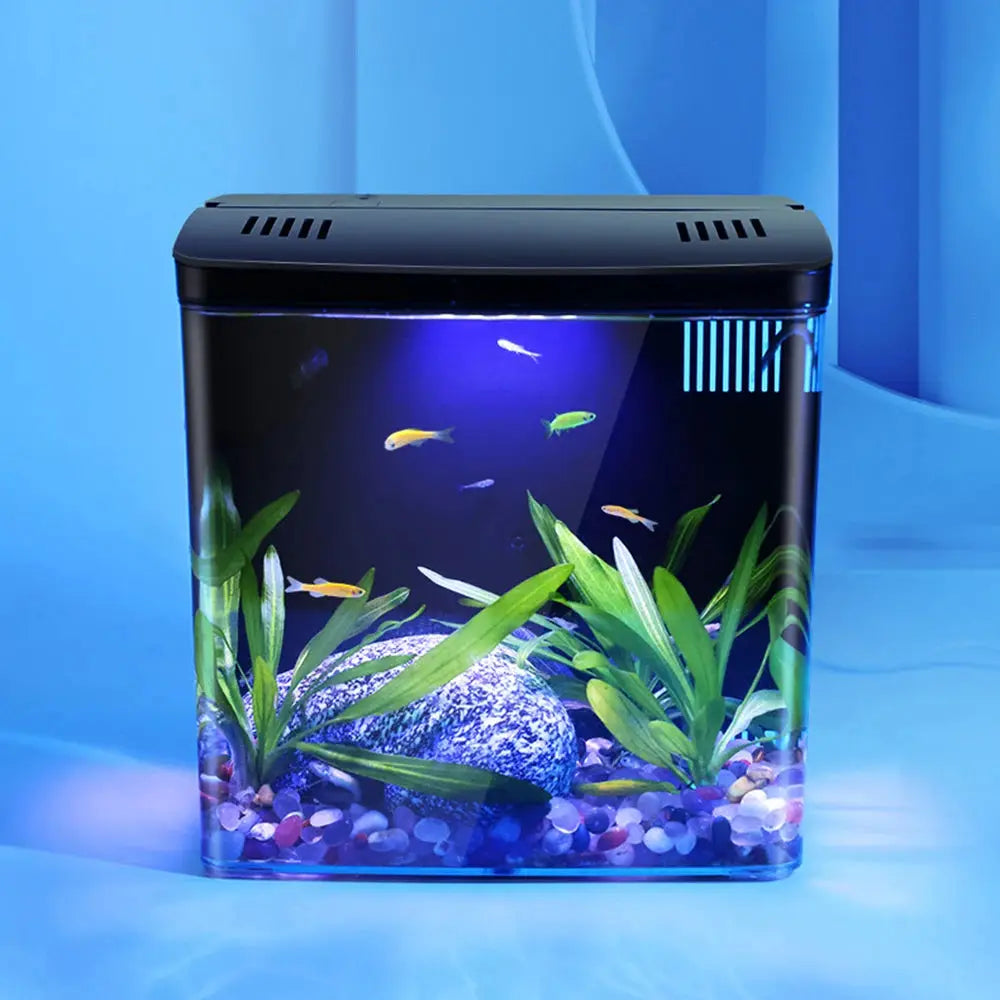 Desktop Ecological Mini Betta Fish Tank for Living Room and Desk Quiet Operation and LED Lighting