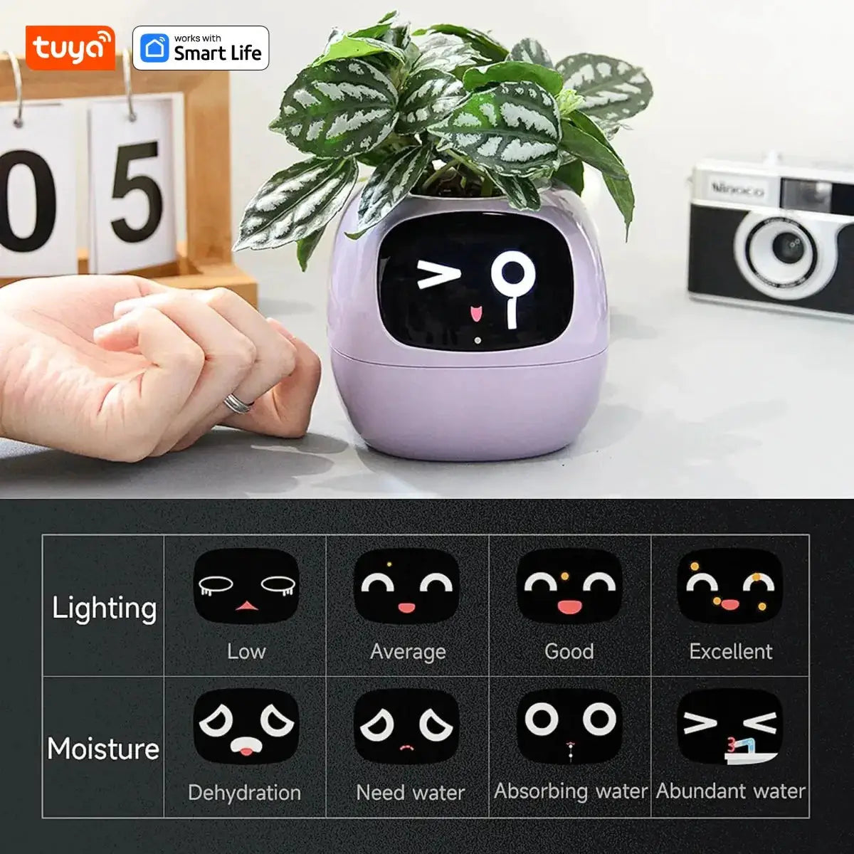 Tuya Gen 1 Ivy Smart Planter With 49 Rich Expressions, 7 Smart Sensors, AI Chips For Easy And Fun Plant Care