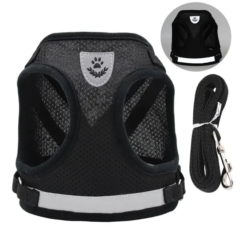 Mesh Breathable Adjustable Dog Harness And Leash Set No Pull Reflective Vest Harness For Comfort And Control