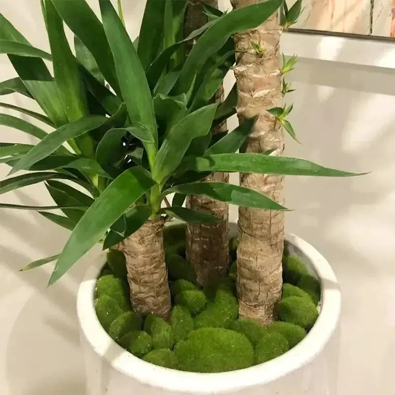 10Pcs Simulation Moss Stone Set Artificial Moss Rocks For Home Garden Decor Flower Pot Creative Crafts