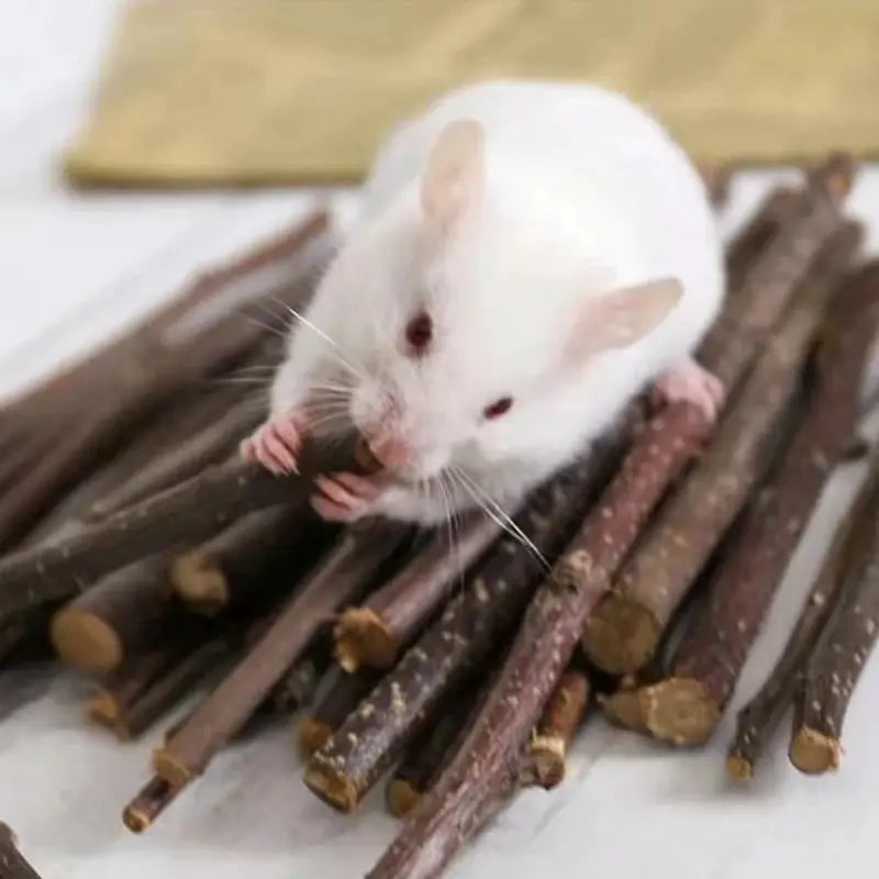 Small animal chew toy bundle: natural wooden pine sticks for guinea pigs, rabbits, and hamsters