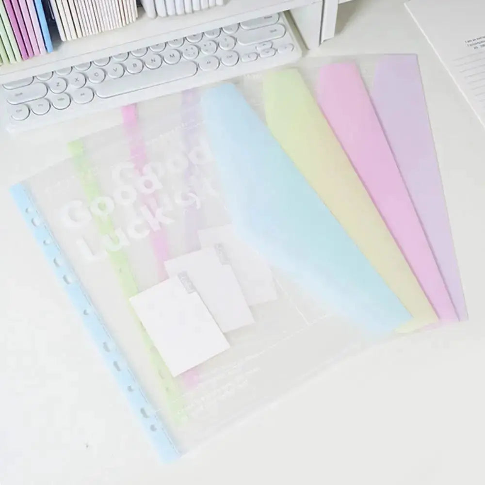 A4 transparent detachable data book folder with pastel colored dividers in blue, green, yellow, pink and purple
