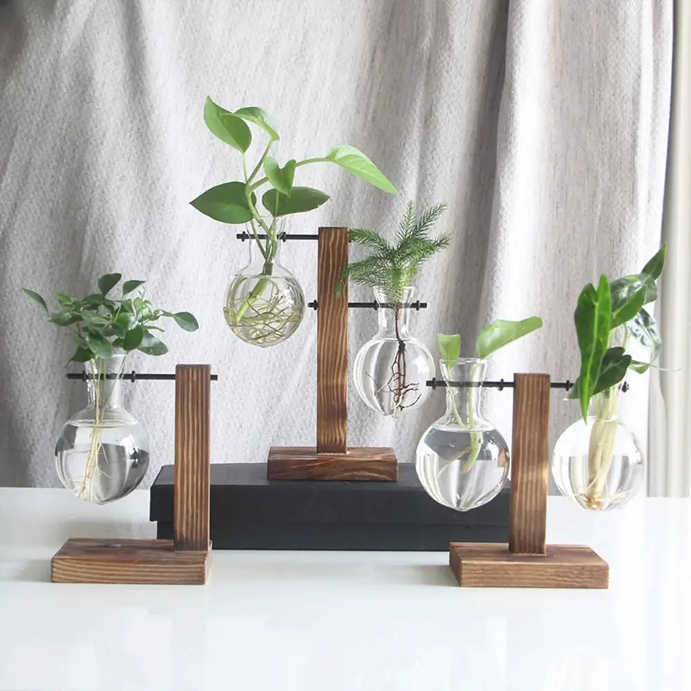 Creative Glass Desktop Planter Bulb Vase set with wooden stands; five clear bulb vases for hydroponic plants