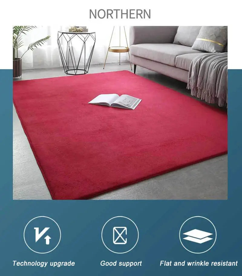 VIKAMA coral velvet carpet, large red non-slip rug for living room or bedroom, ideal for home decor