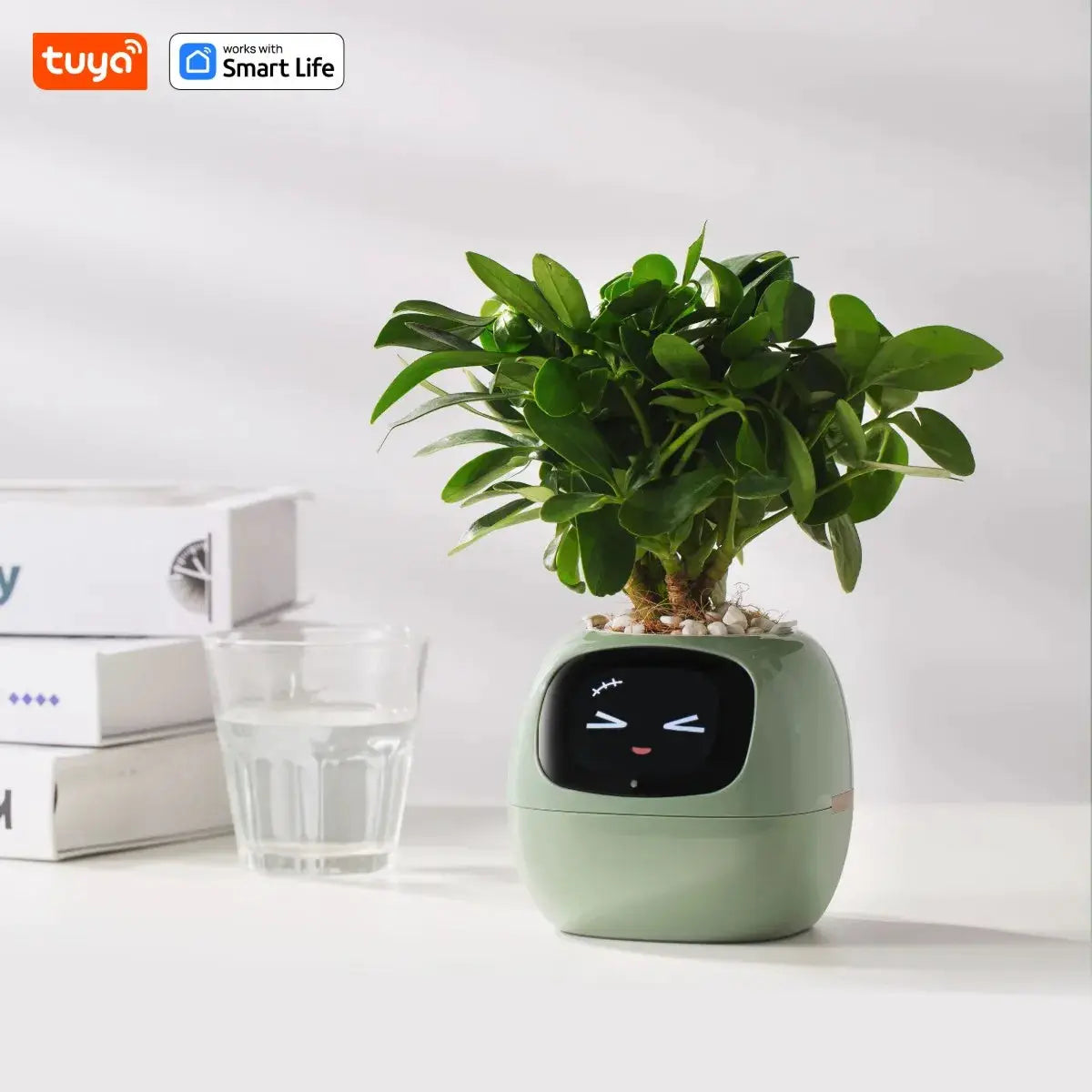 Tuya Gen 1 Ivy Smart Planter With 49 Rich Expressions, 7 Smart Sensors, AI Chips For Easy And Fun Plant Care