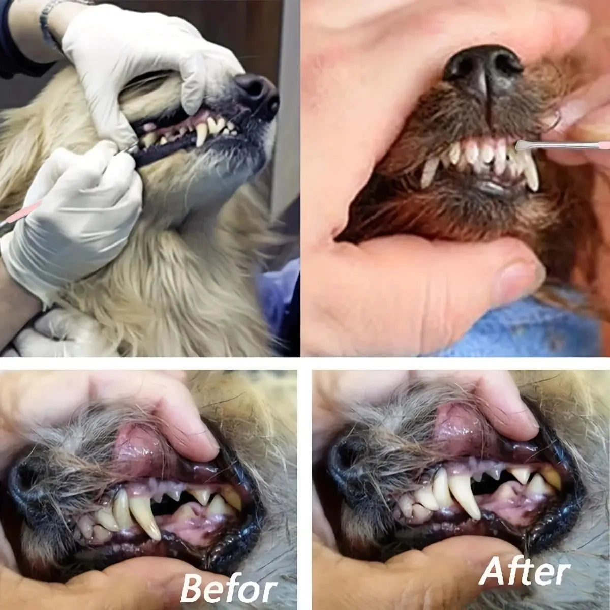 One Piece Pet Dog Tooth Cleaner Stainless Steel Double Headed Tartar Remover Scraper Kit For Pet Oral Care