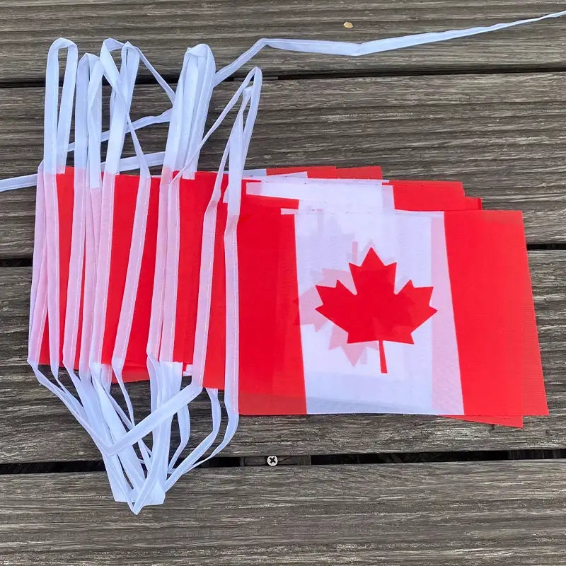 Canada Bunting Flags 20Pcs Set Pennant Banner for Parties and Holidays
