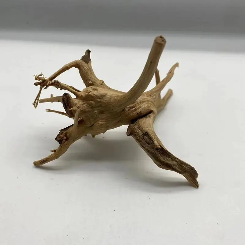 Natural Tree Trunk Driftwood Aquarium Decoration Wood Ornament For Fish Tanks And Aquatic Plants