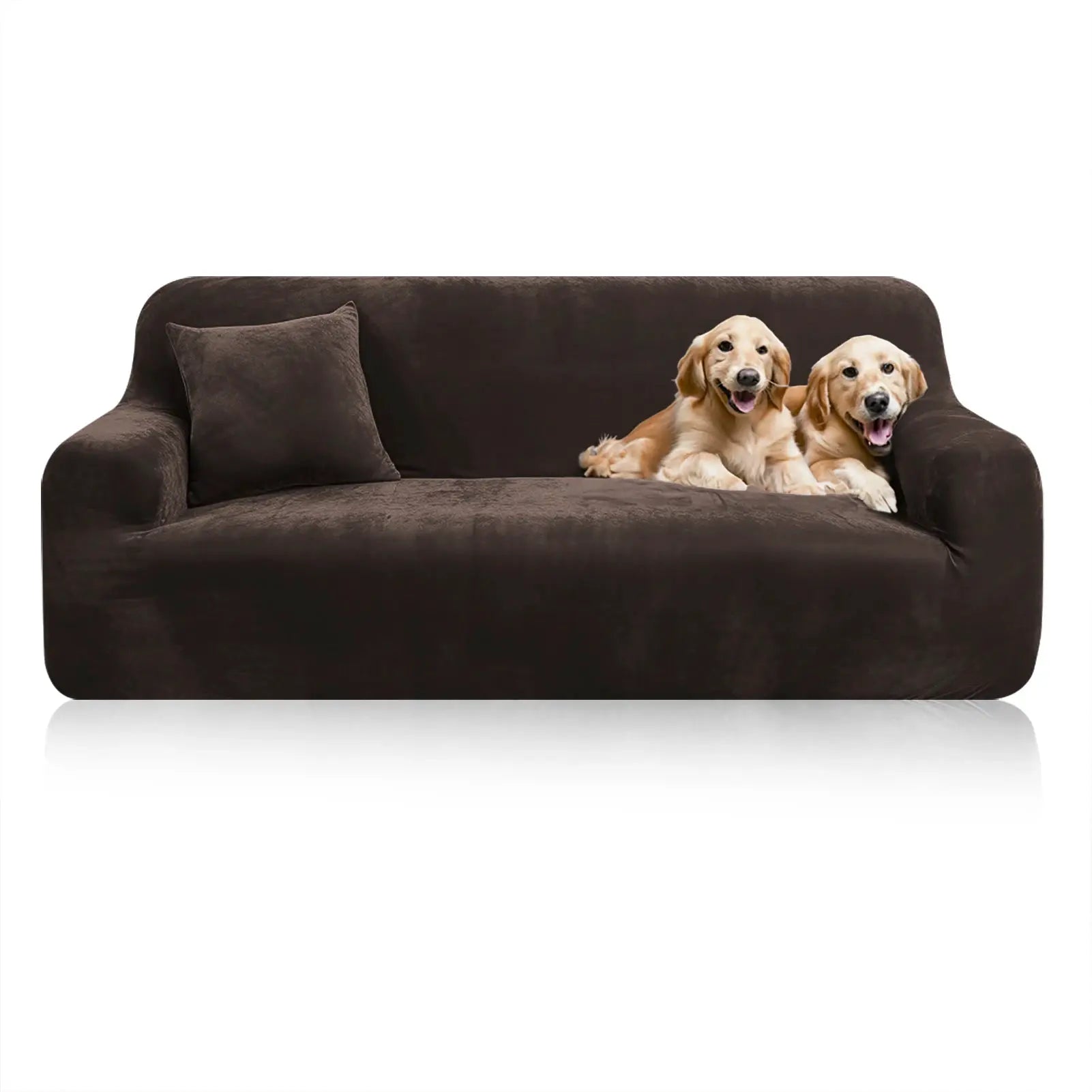 Stretch velvet sofa cover in brown on a sofa with two golden retriever puppies