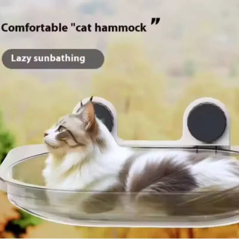 Cat hammock hanging bed by Simples Market, transparent acrylic frame for sunny window lounging