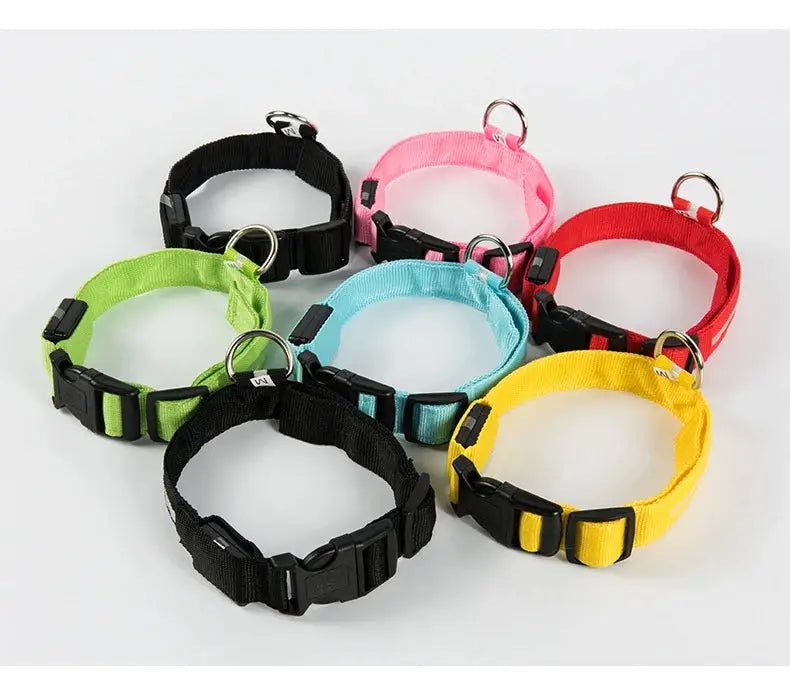 Nylon LED glow-in-the-dark dog collars set of eight, with quick-release buckles and D-rings in bright colors