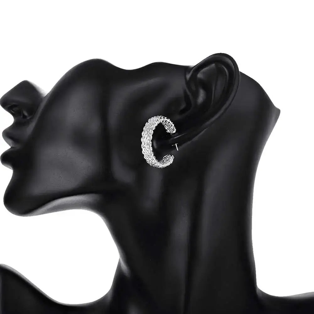 925 Sterling Silver Charms Stud Earrings For Women Gift Christmas Style Street All Match Party Jewelry