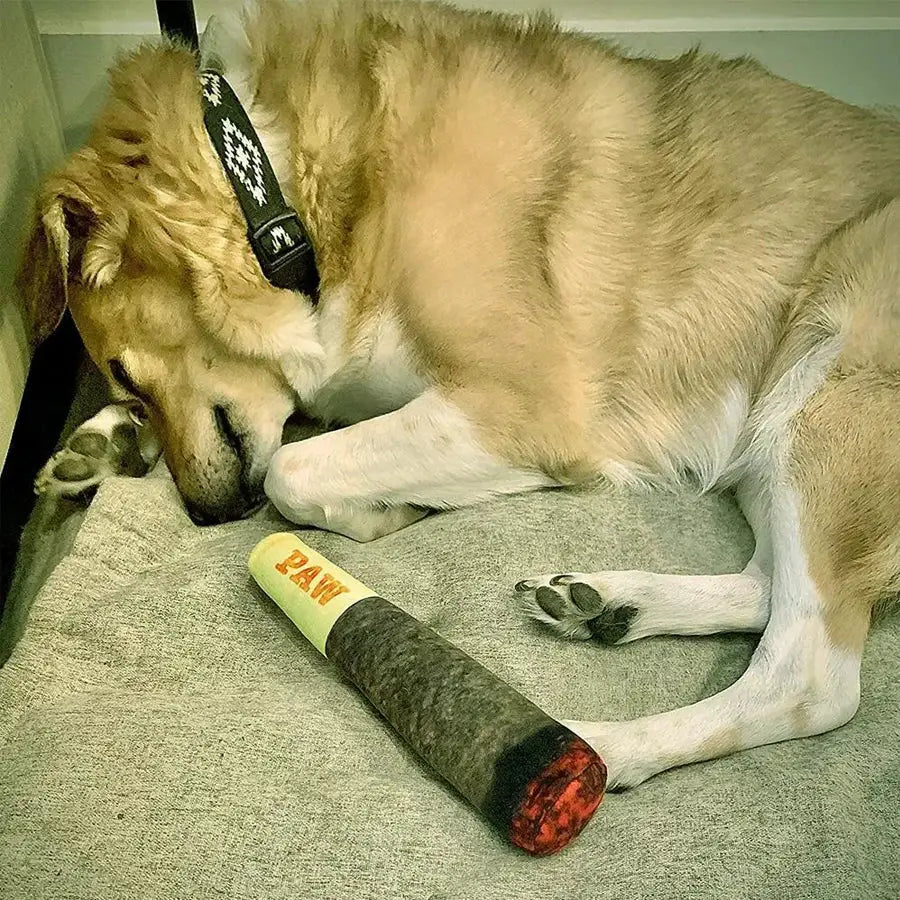Funny Interactive Cigar Design Plush Squeaky Dog Toy For Small And Medium Dogs Dental Chew Toy