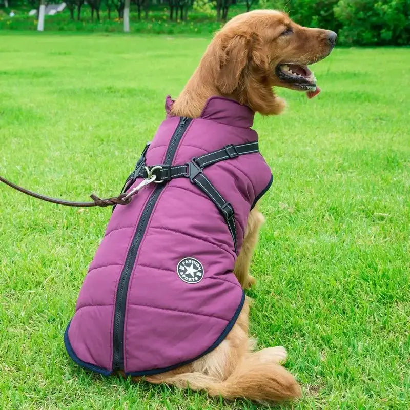 Large purple quilted dog jacket with built-in harness, waterproof for big dogs, Simples Market.