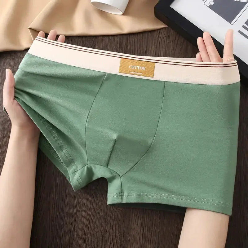 Green cotton men's boxer shorts with beige elastic waistband and brown stripes