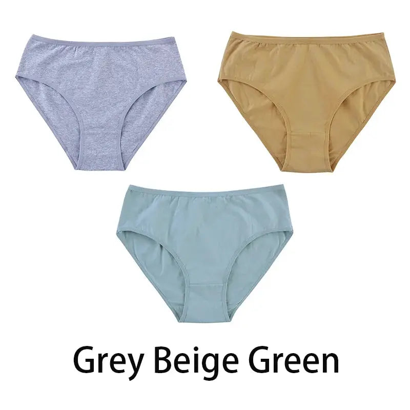 3-piece women's seamless cotton panties set in grey, beige and green by Simples Market