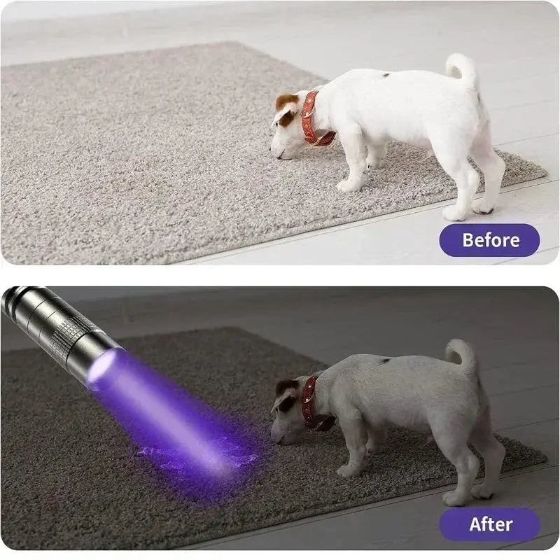 Simples Market 395nm UV pen flashlight for detecting urine and stains, AAA-powered