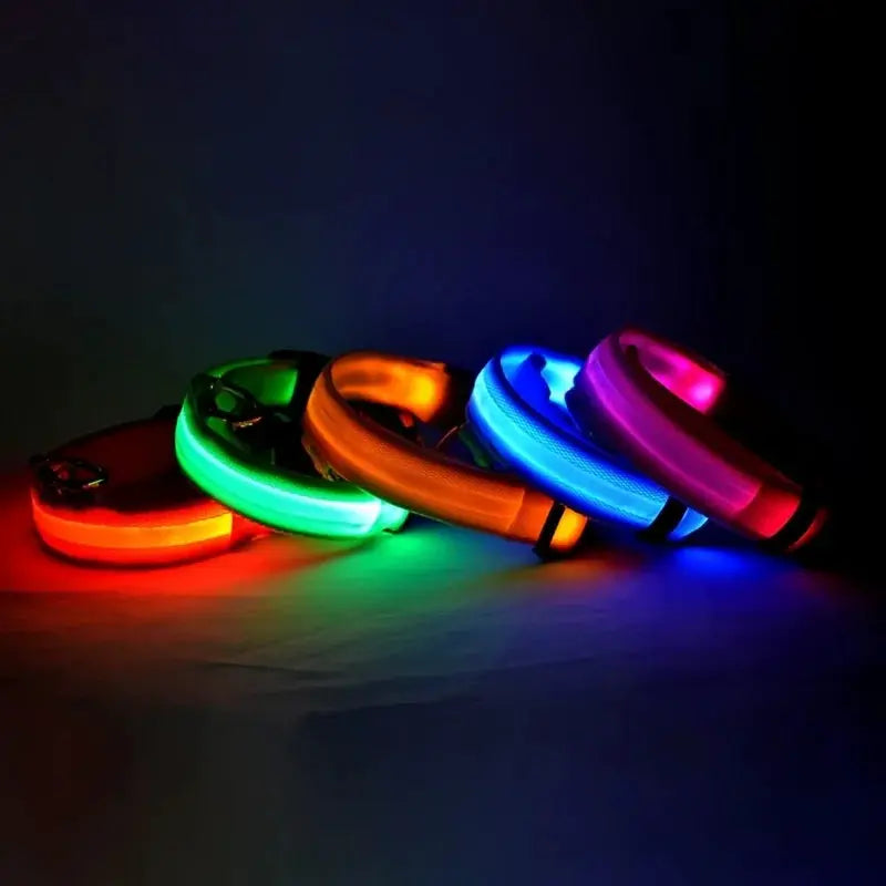 Nylon LED Night Safety Dog Leash And Collar With Flashing Glow In The Dark Luminous Fluorescent