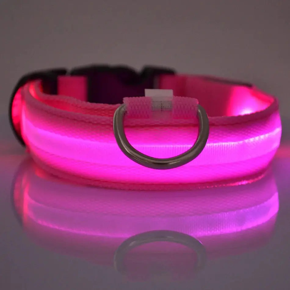Nylon LED Night Safety Dog Leash And Collar With Flashing Glow In The Dark Luminous Fluorescent