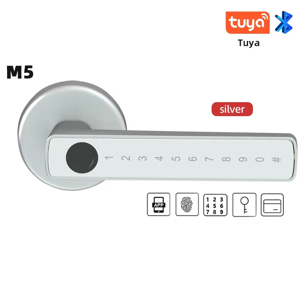 RAYKUBE M5 silver smart door lock with fingerprint sensor and numeric keypad