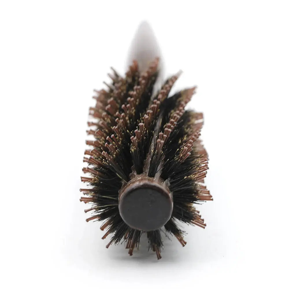 Wood-handle round barrel hair brush with boar bristles and brown tips.