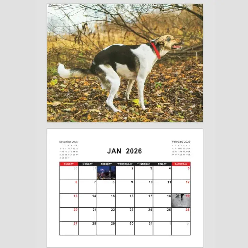 Simples Market 2026 Pooping Dog Calendar, two-panel wall calendar with dog photo and January 2026 page