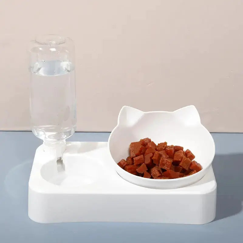 15 Degree Tilt Pet Bowl With Cervical Vertebrae Protection And Automatic Drinking Feeder Double Bowl For Dogs