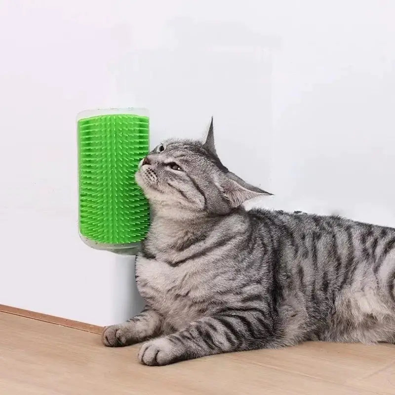 Cat massage tool green self-cleaning rubbing brush wall-mounted by Simples Market for pet grooming and hair removal.