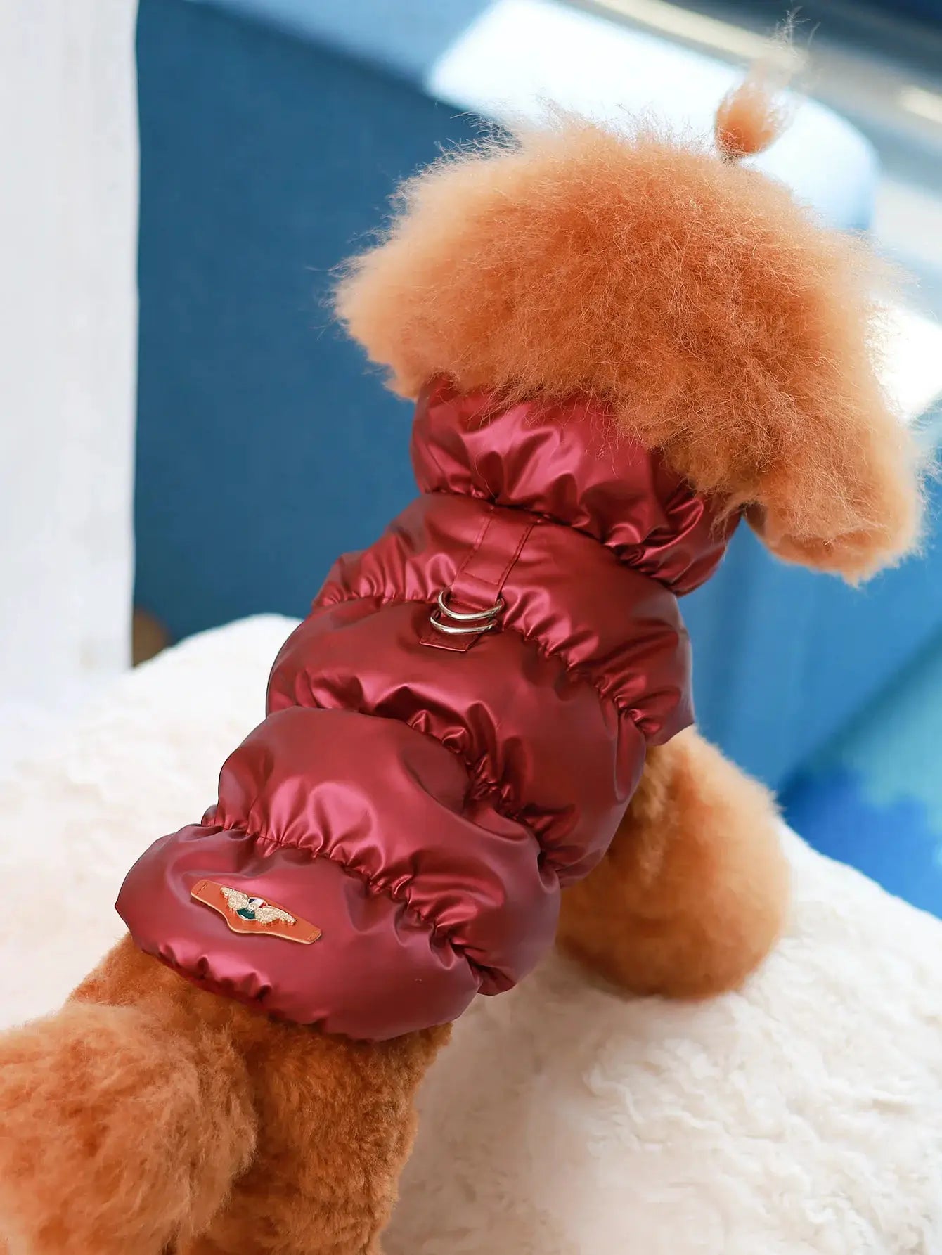 Dog Jacket For Autumn And Winter Three Layer Thick Warm Outerwear For Small To Medium Dogs