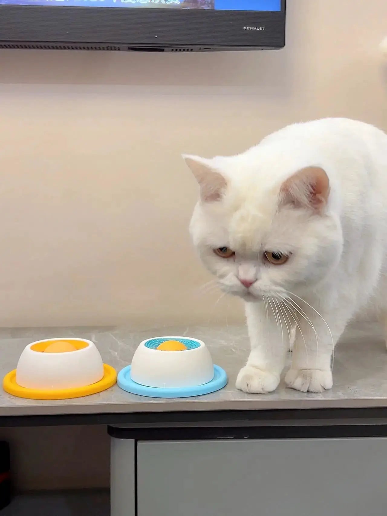 Lick Toys for Dogs interactive slow-feeder puzzle on kitchen counter with orange and blue bases and white cat nearby.