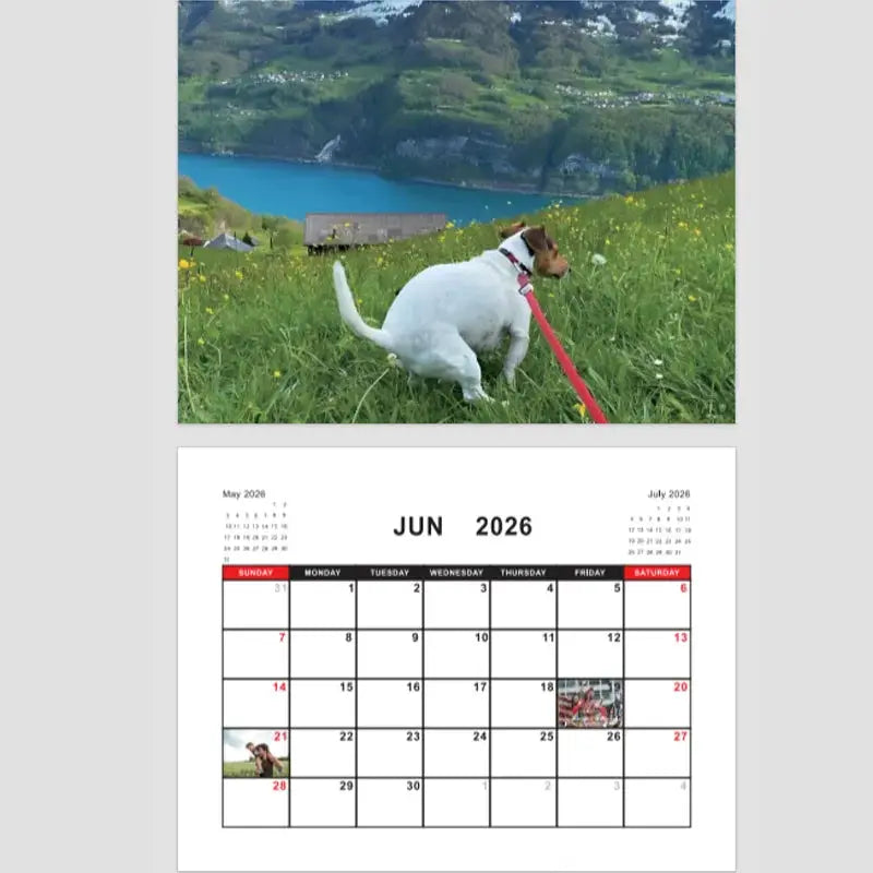 2026 Pooping Dog Calendar with wall calendar layout; white dog in a grassy field, June 2026 grid