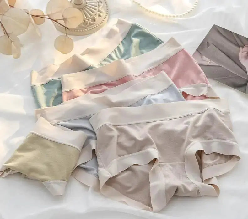 Set of 4 women's modal panties, seamless briefs in pastel solid colors
