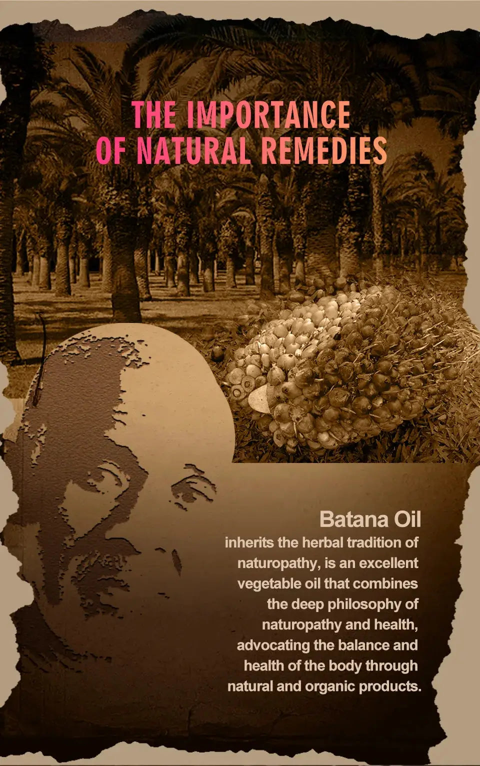 2023 Batana Hair Growth Oil For Black Women 100% Natural Batana Butter For Hair Loss Treatment For Black Men & Women Hair Care