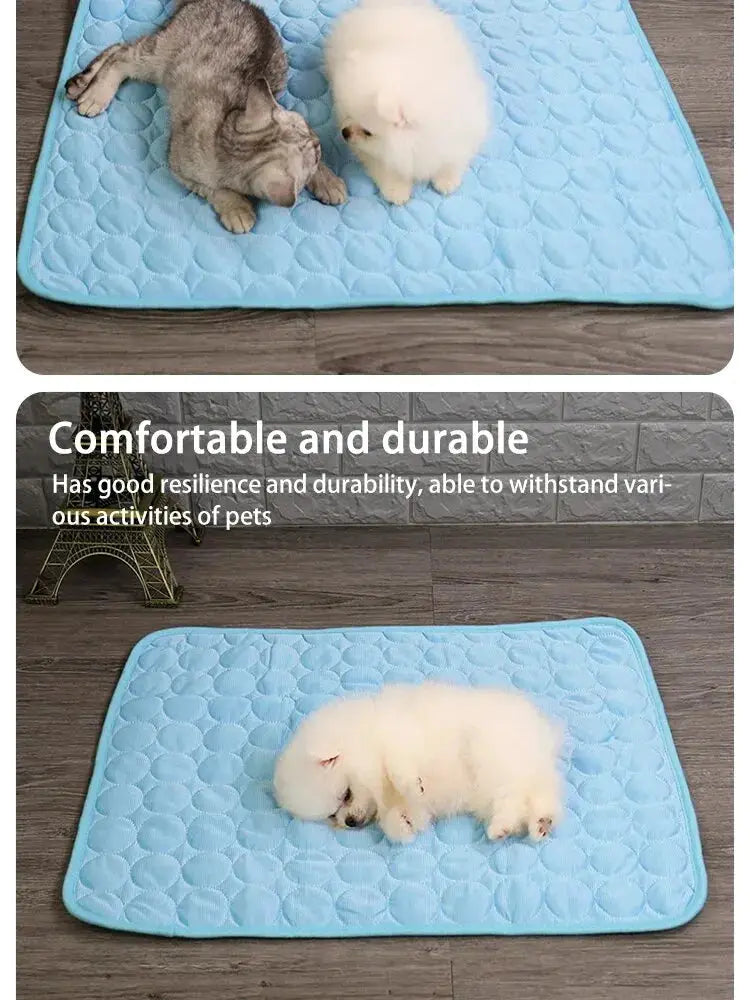 Simples Market Pet Ice Mat cooling bed, blue quilted mat for small dogs; two small pets pictured.