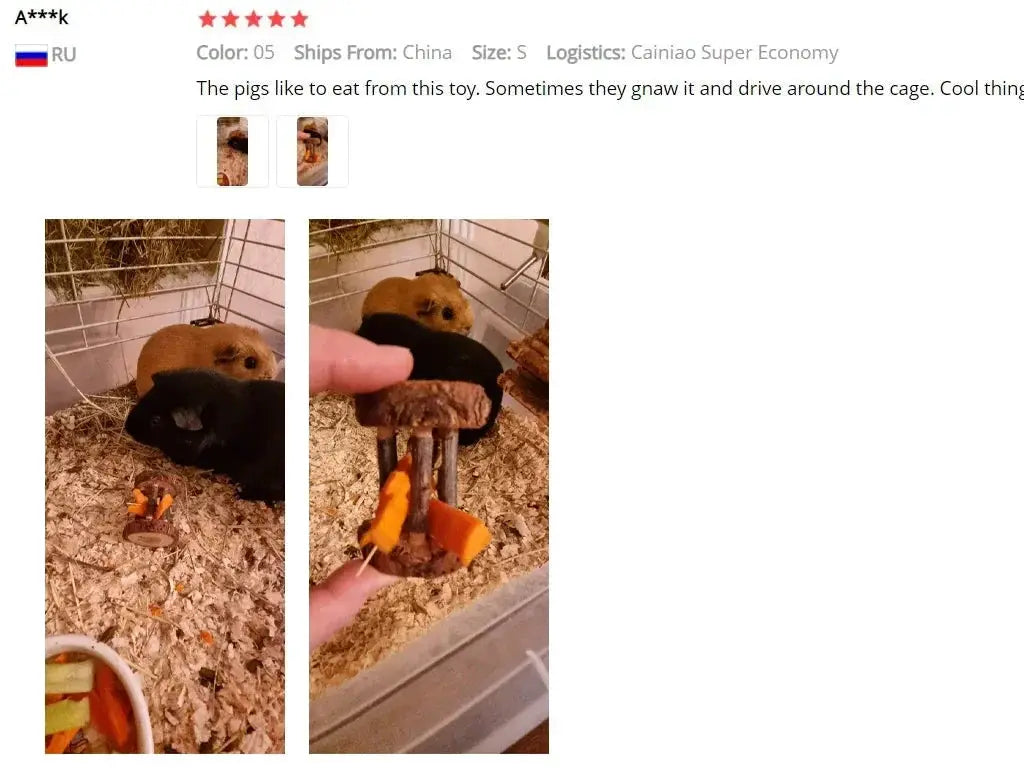 Guinea pig chew toy set, natural wooden pine dumbbell, for small pets (two guinea pigs shown)
